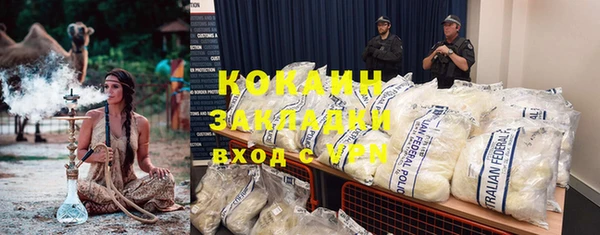 шишки Володарск