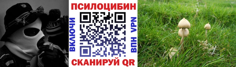 Купить  Опочка  Галлюциногенные грибы Magic Shrooms 